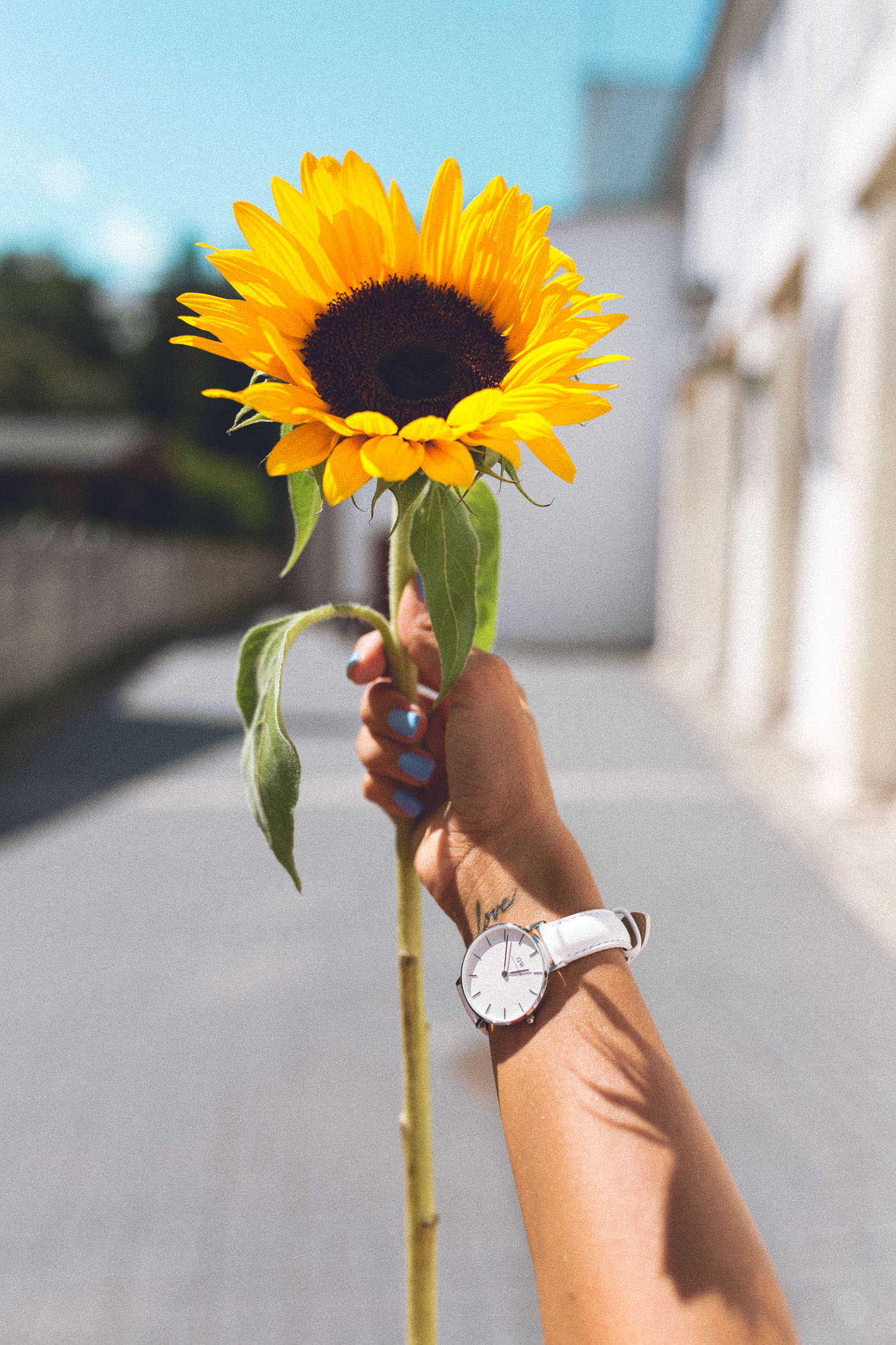 zegarek Daniel Wellington, rabat zegarek Daniel Wellington, zegarek DW, zegarek Daniel Wellington biały