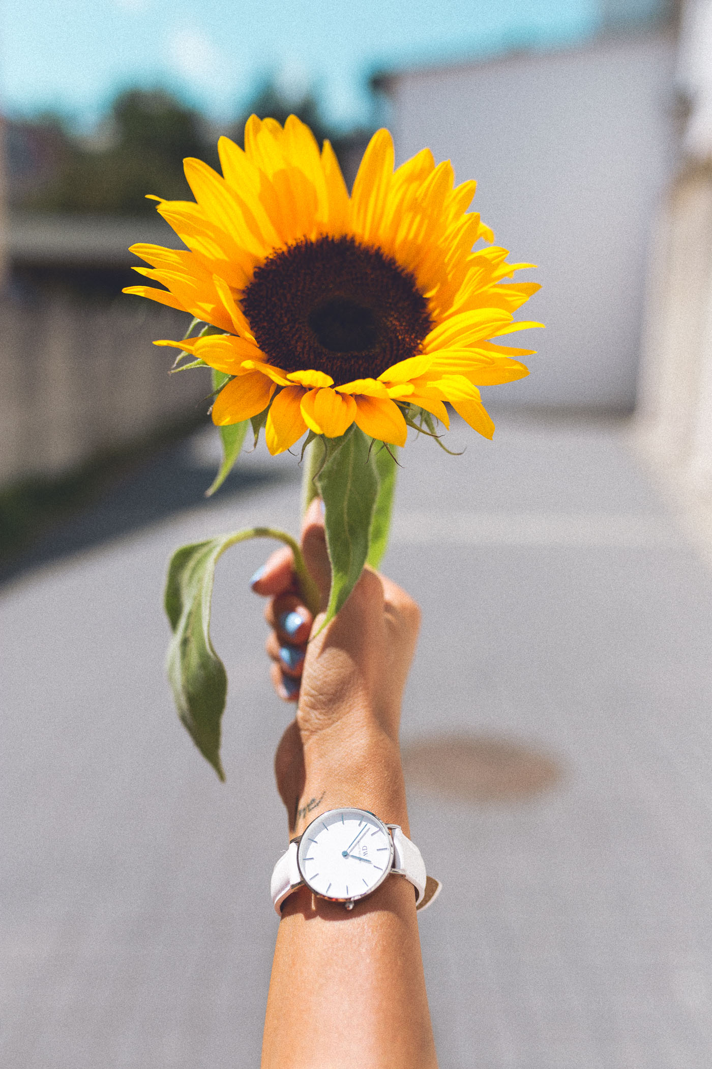 zegarek Daniel Wellington, rabat zegarek Daniel Wellington, zegarek DW, zegarek Daniel Wellington biały