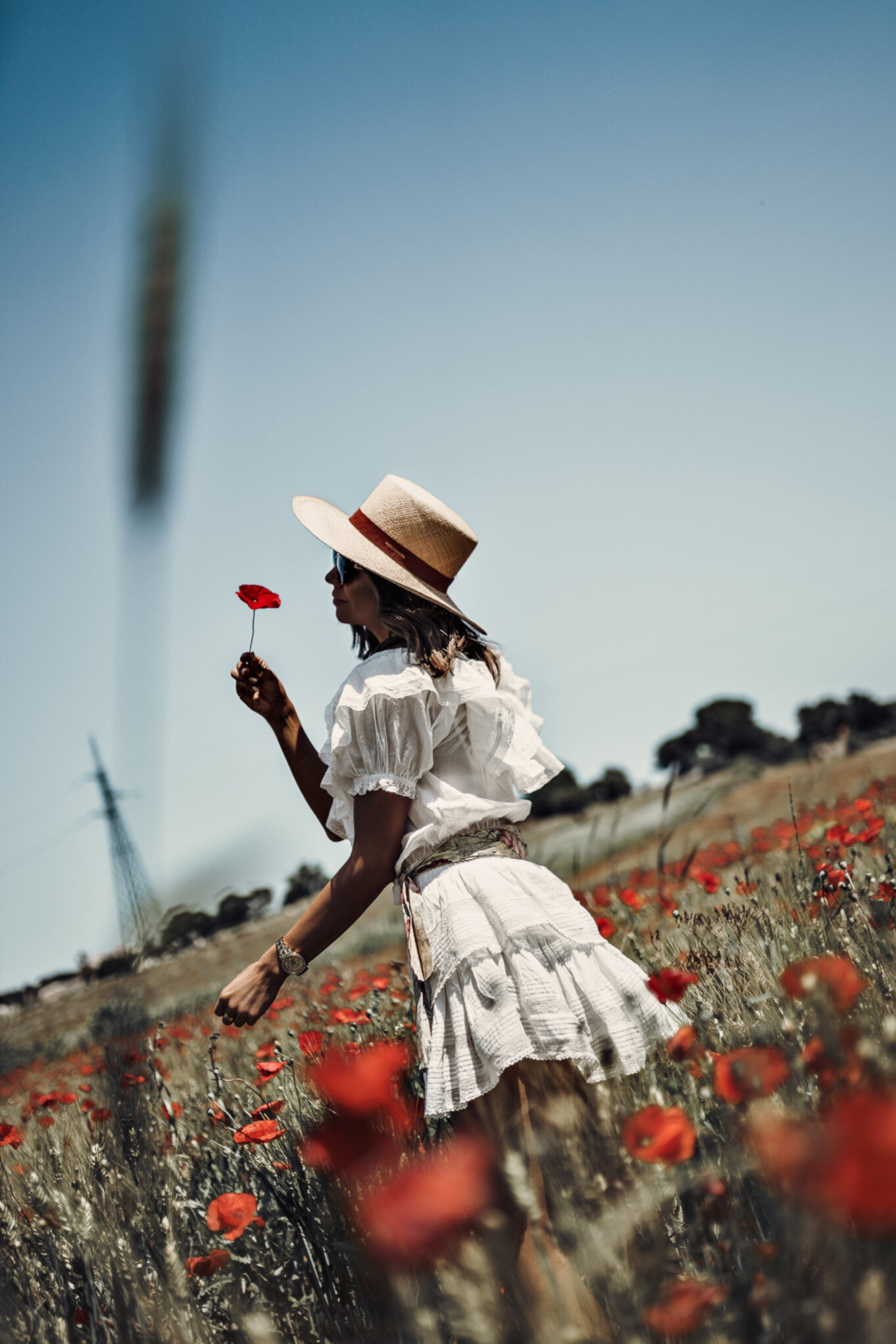 Pole pełne maków w drodze do Alberobello