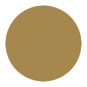 Circle icon