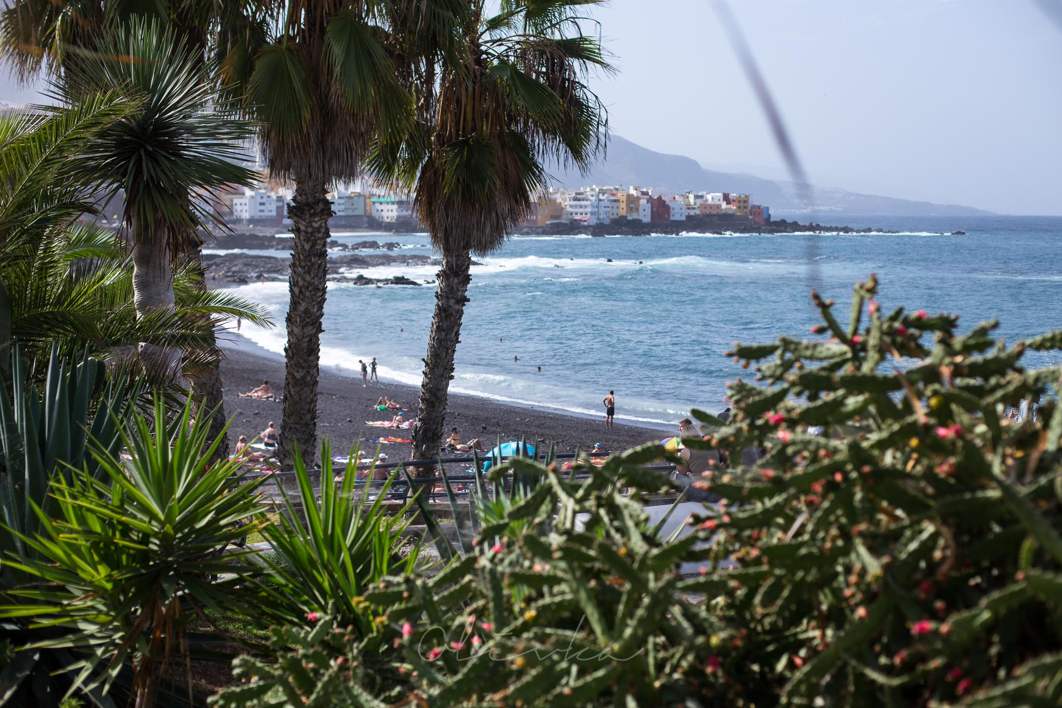 Bujna roślinność niedaleko plaży La Arena