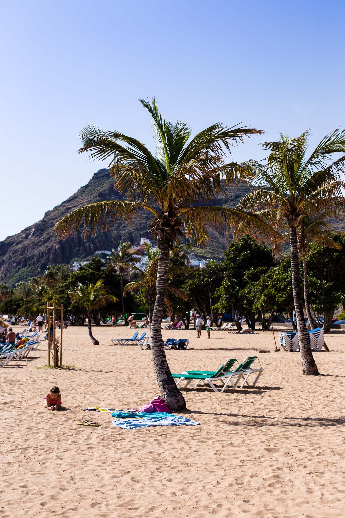 Plażowanie w cieniu palm