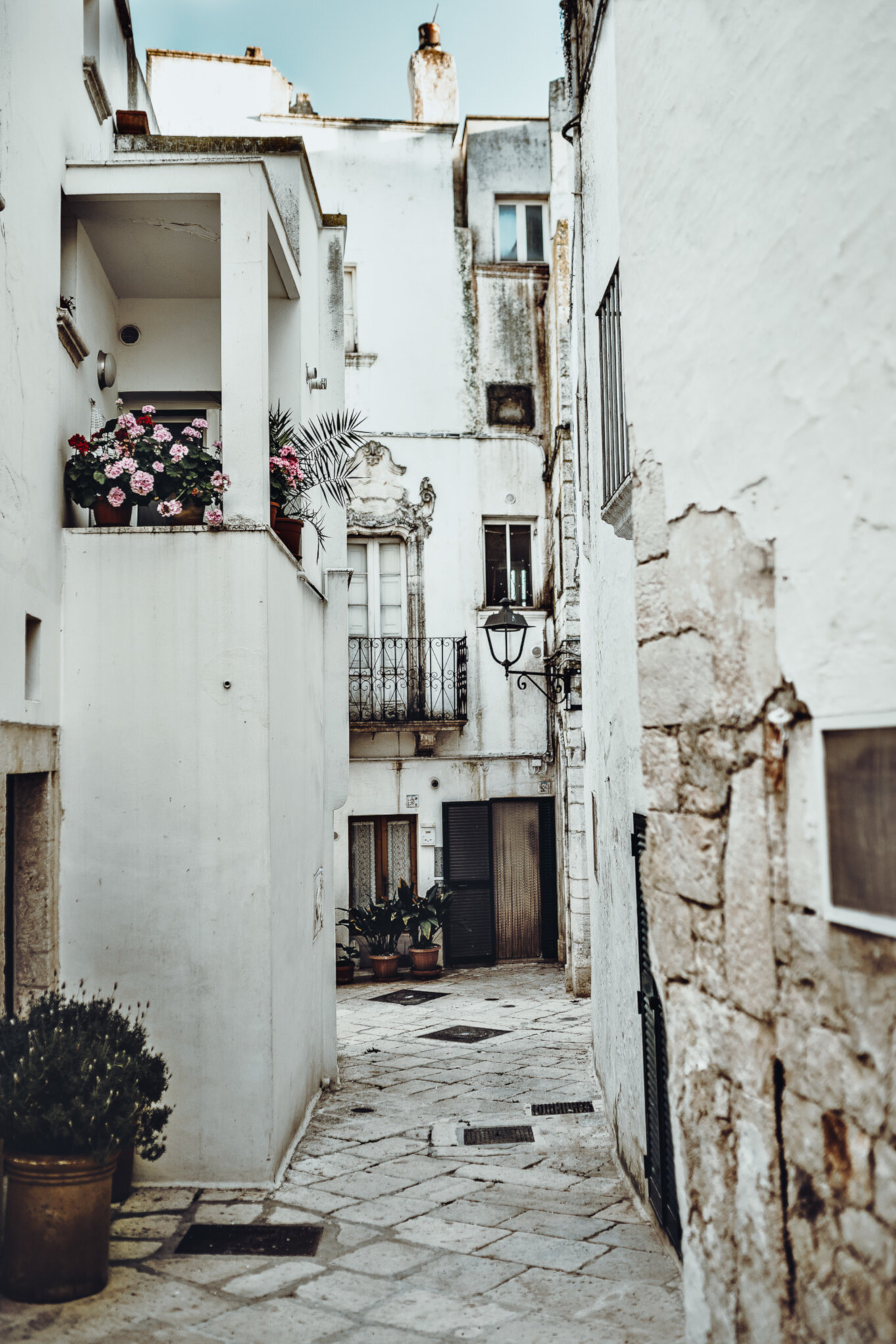 Białe domy w Locorotondo ozdobione kwiatami