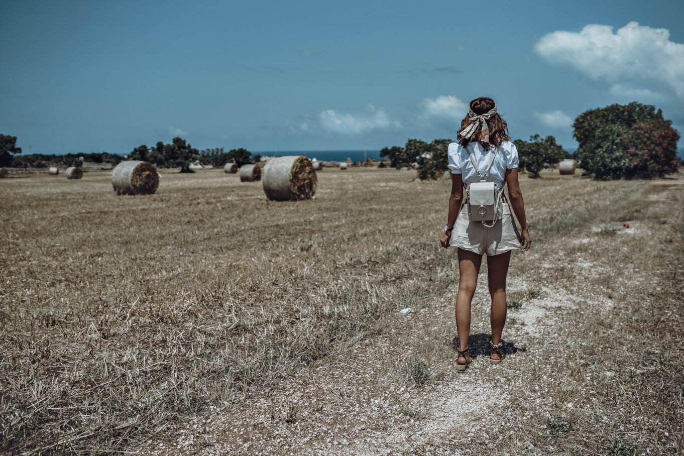 Pola przy drodze z Locorotondo do Poliganano a Mare