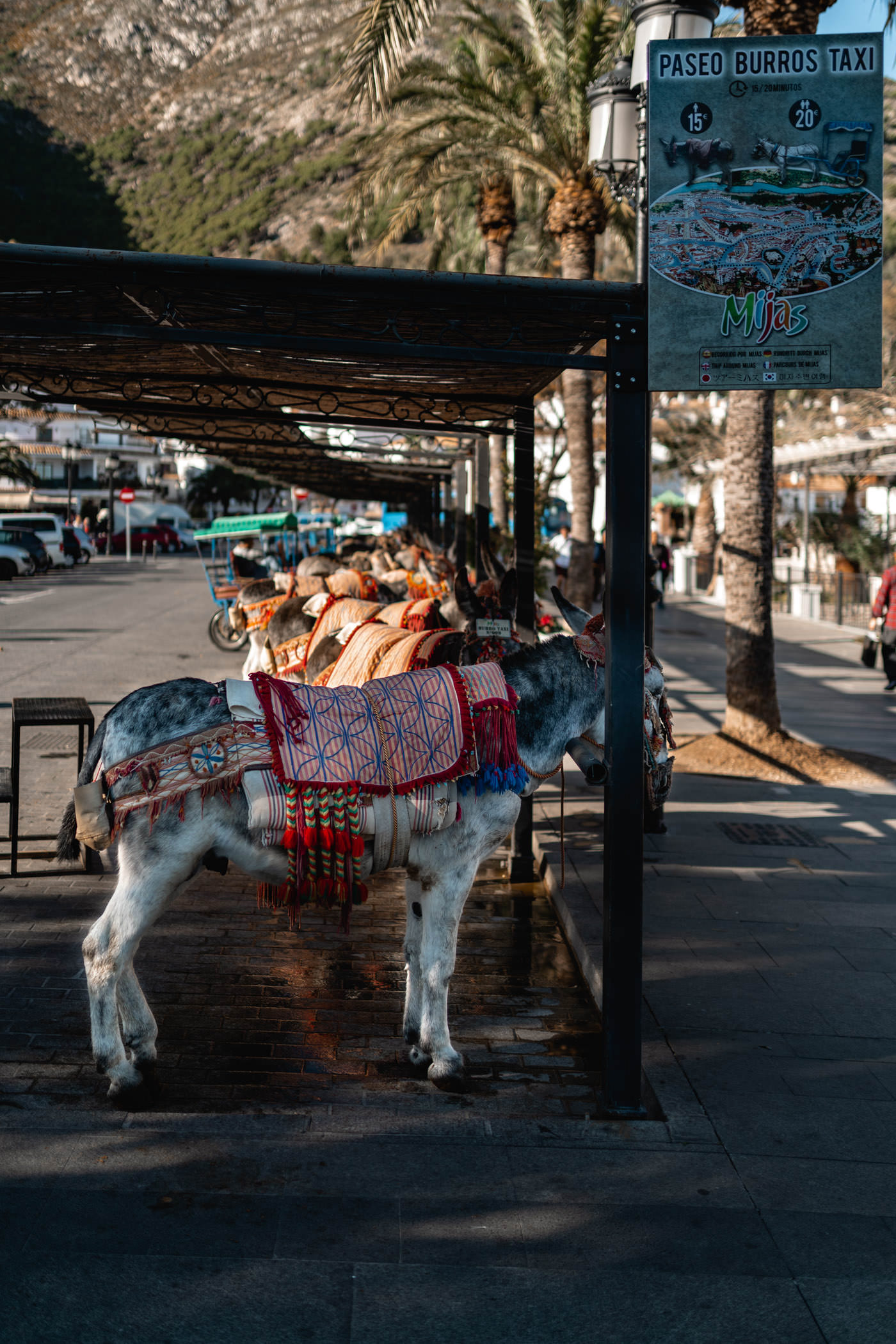 mijas, ośle taksówki,